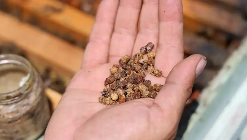 Yeniden Kullanım Devrimi: Eskiden Çöpe Gidiyordu, Şimdi 3 Bin TL!