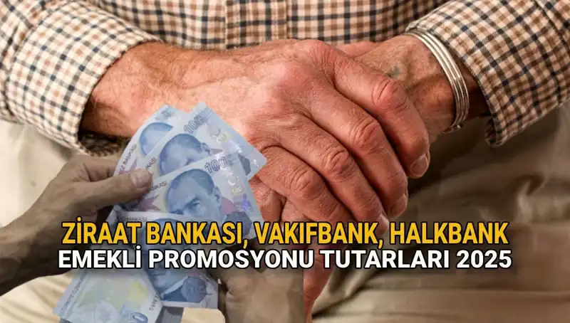 2025'te Emekli Banka Promosyonları: Kamu Bankalarının Teklifleri Ortaya Çıktı!