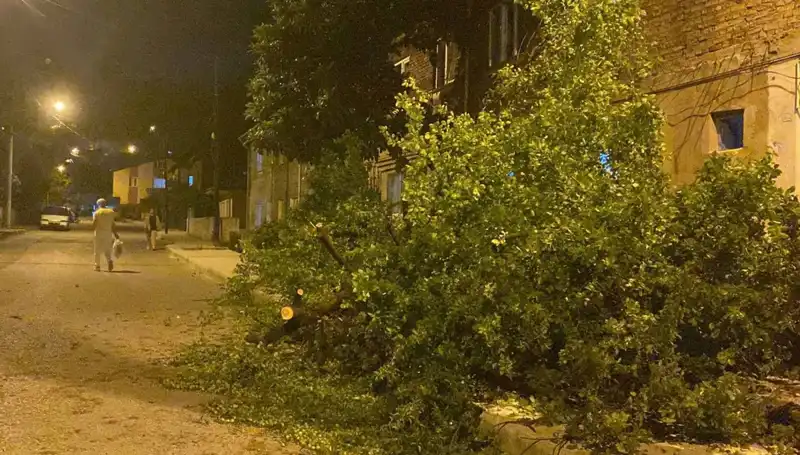 Karabük'te Fırtına Ortalığı Sarmaladı: Zarar ve Etkileri Neler?