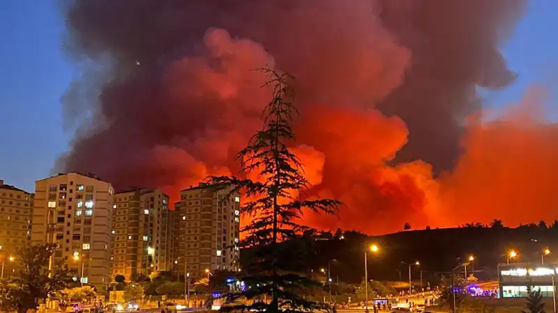Bursa'da Yangınlar: Şehirde Korkutan Gelişmeler ve Alınan Önlemler