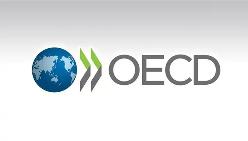 OECD, Türkiye'nin Ekonomik Büyüme Tahminini Yeniden Gözden Geçirdi