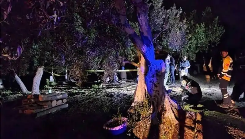 Çiftlikte Yaşanan Baltalı Vahşete İlk Tutuklama: Olayın Perde Arkası