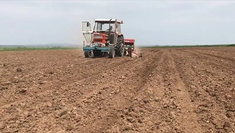 Son 35 Yılın En Kurak Mart Ayı Yaşandı: Yağışlar Tarihi Düşüşte