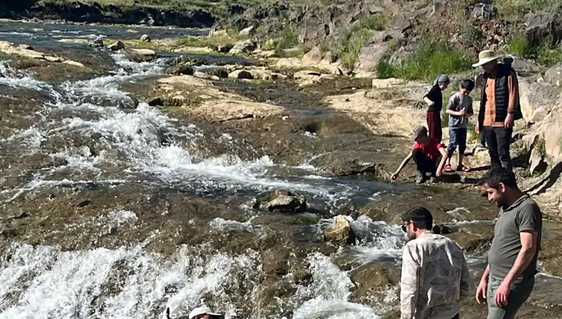 İnci Kefalinin Büyüleyici Göçü: Turistler Renklendiriyor Sıfır Kilometreyi