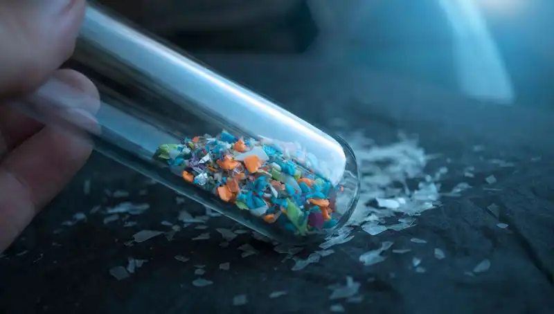 Mikroplastikler İnsan Beynine Ulaşıyor: Zararları ve Çözümleri Neler?