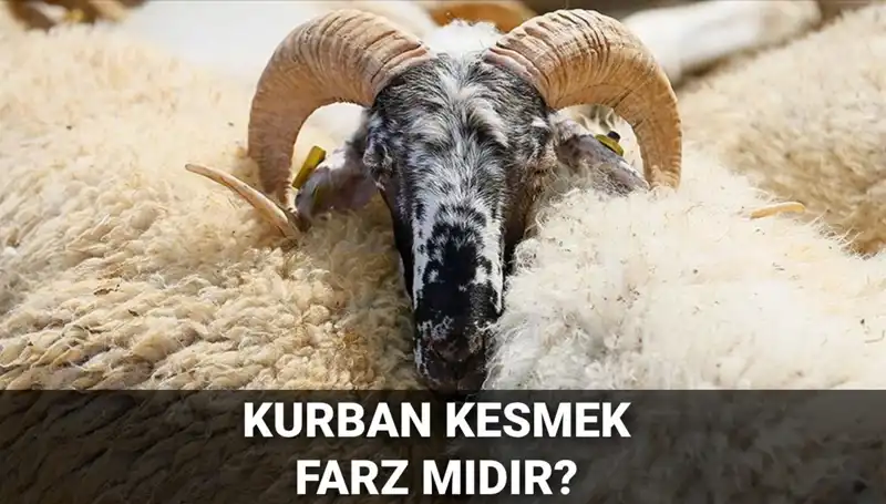 Kurban Kesmek Farz mı? Diyanet’in Yanıtı ve Şartları