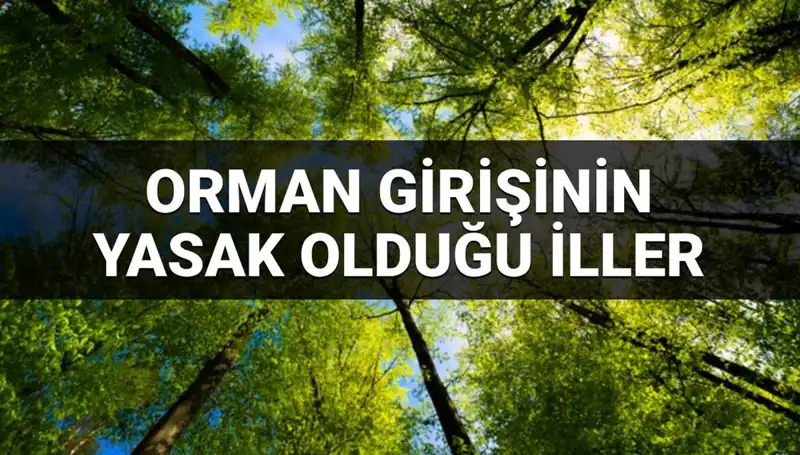 2025’te Ormana Girişin Yasaklandığı İller Belli Oldu!