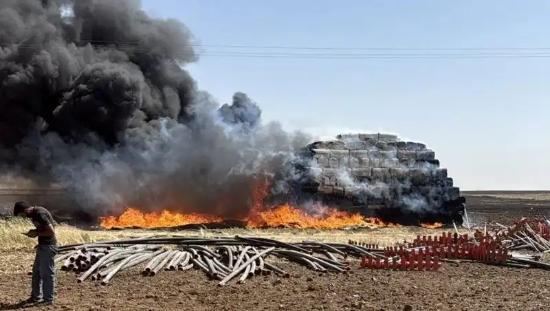 Mardin'de Anız Yangınları: Tarımı Tehdit Eden Felaketin Sebepleri ve Çözüm Önerileri