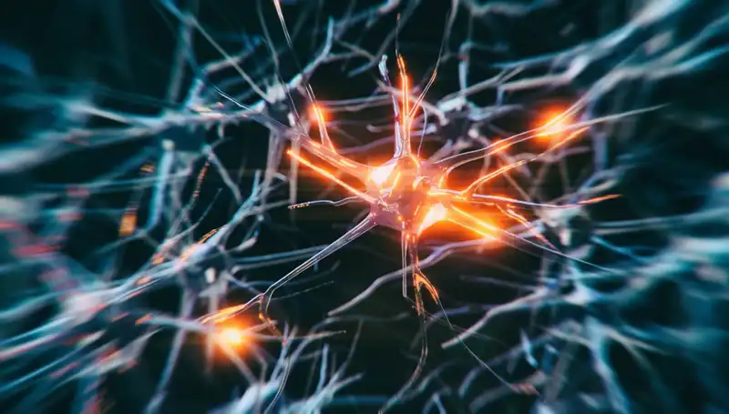 Alzheimer Vakalarındaki Korkutucu Artış: Nedenleri ve Çözüm Önerileri