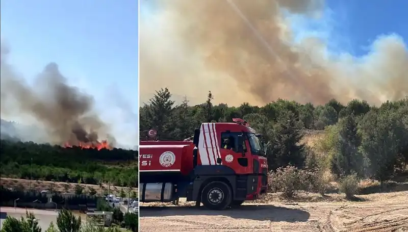 Gebze'de Orman Yangını: Ekipler Seferber Oldu, Nedenleri Araştırılıyor