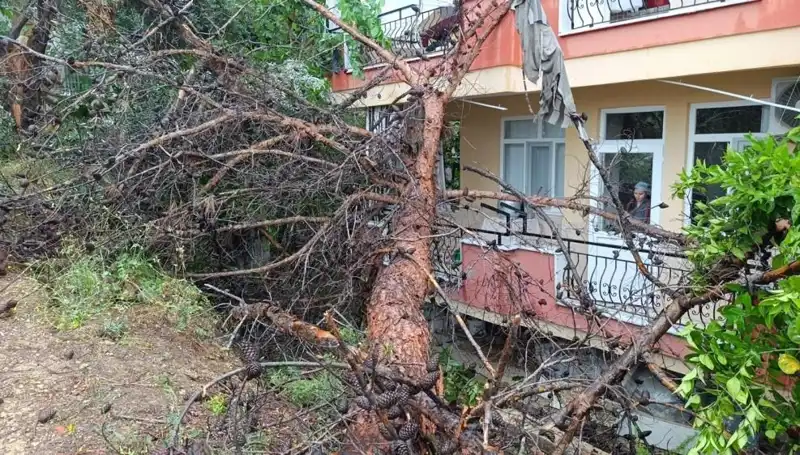 Yağışlar Sebebiyle Çöken Bina: Şok Eden Gelişmeler!