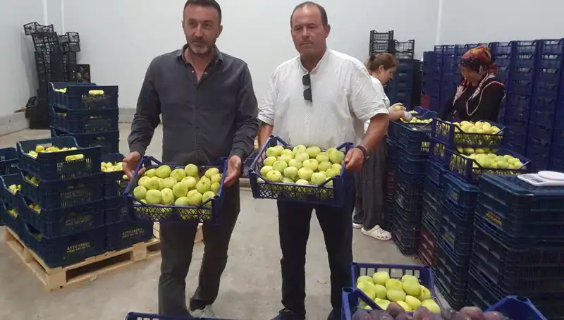 Mersinli Çiftçi Tohumlarını 20 TL’den İhraç Ederek Yüzünü Güldürüyor!
