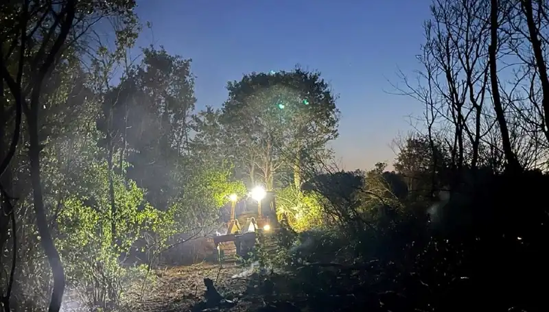 Edirne'de Büyük Orman Yangını Kontrol Altına Alındı, Zararlar ve Kurtarma Çabaları